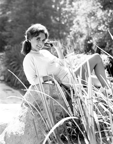 dawn wells sexy pics|30 Portrait Photos of Dawn Wells in the 1960s